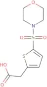 [5-(Morpholine-4-sulfonyl)-thiophen-2-yl]-acetic acid