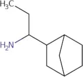 1-{Bicyclo[2.2.1]heptan-2-yl}propan-1-amine