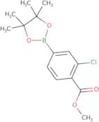3-Chloro-4-methoxycarbonylphenylboronic acid pinacol ester