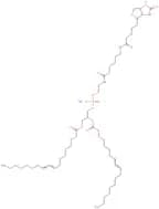 18:1 Biotinyl Cap PE