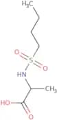 2-(Butane-1-sulfonamido)propanoic acid
