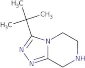 3-tert-Butyl-5H,6H,7H,8H-[1,2,4]triazolo[4,3-a]pyrazine