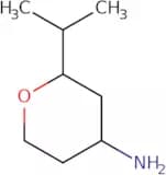 2-(Propan-2-yl)oxan-4-amine