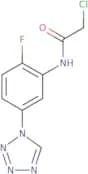 2-Chloro-N-[2-fluoro-5-(1H-1,2,3,4-tetrazol-1-yl)phenyl]acetamide