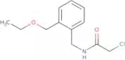 2-Chloro-N-{[2-(ethoxymethyl)phenyl]methyl}acetamide