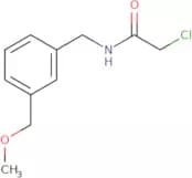2-Chloro-N-{[3-(methoxymethyl)phenyl]methyl}acetamide