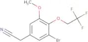 2-[3-Bromo-5-methoxy-4-(2,2,2-trifluoroethoxy)phenyl]acetonitrile
