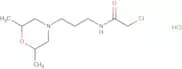 2-Chloro-N-[3-(2,6-dimethylmorpholin-4-yl)propyl]acetamide hydrochloride