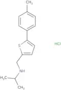 {[5-(4-Methylphenyl)thiophen-2-yl]methyl}(propan-2-yl)amine hydrochloride