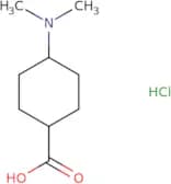 rac-(1R,4R)-4-(Dimethylamino)cyclohexane-1-carboxylic acid hydrochloride