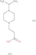 3-[4-(Propan-2-yl)piperazin-1-yl]propanoic acid dihydrochloride