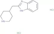 2-(Piperidin-4-ylmethyl)-1H-1,3-benzodiazole dihydrochloride
