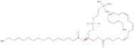 2-Arachidonoyl-1-palmitoyl-sn-glycero-3-phosphocholine