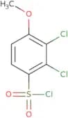 2,3-Dichloro-4-methoxybenzene-1-sulfonyl chloride