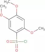 2,4,5-Trimethoxybenzene-1-sulfonyl chloride