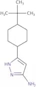 3-(4-tert-Butylcyclohexyl)-1H-pyrazol-5-amine