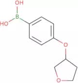 [4-(Oxolan-3-yloxy)phenyl]boronic acid