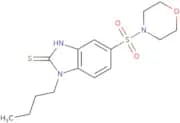 1-Butyl-5-(morpholine-4-sulfonyl)-1H-1,3-benzodiazole-2-thiol