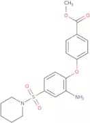 Methyl 4-[2-amino-4-(piperidine-1-sulfonyl)phenoxy]benzoate