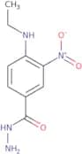 4-(Ethylamino)-3-nitrobenzohydrazide