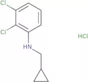 2,3-Dichloro-N-(cyclopropylmethyl)aniline hydrochloride