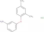 3-(2,4-Dimethylphenoxy)aniline hydrochloride