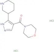 4-[3-(Piperidin-3-yl)-1H-pyrazole-4-carbonyl]morpholine dihydrochloride