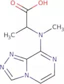 2-[Methyl({[1,2,4]triazolo[4,3-a]pyrazin-8-yl})amino]propanoic acid