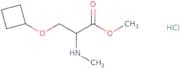 Methyl 3-cyclobutoxy-2-(methylamino)propanoate hydrochloride