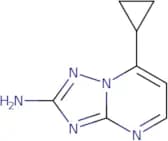 7-Cyclopropyl[1,2,4]triazolo[1,5-a]pyrimidin-2-amine