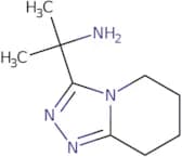 2-{5H,6H,7H,8H-[1,2,4]Triazolo[4,3-a]pyridin-3-yl}propan-2-amine