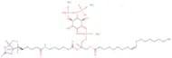 18:1-6:0 Biotin pi(4,5)P2