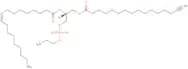 16:0(Alkyne)-18:1 pe