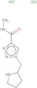 N-Methyl-1-[(pyrrolidin-2-yl)methyl]-1H-1,2,3-triazole-4-carboxamide dihydrochloride