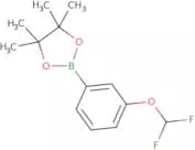 2-[3-(difluoromethoxy)phenyl]-4,4,5,5-tetramethyl-1,3,2-dioxaborolane