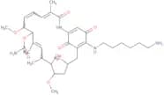 Aminohexylgeldanamycin