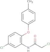 2-Chloro-N-[5-chloro-2-(4-methylphenoxy)phenyl]acetamide