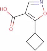 5-Cyclobutyl-1,2-oxazole-4-carboxylic acid