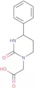 2-(2-Oxo-4-phenyl-1,3-diazinan-1-yl)acetic acid