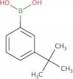 3-tert-Butylphenylboronic acid