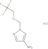 1-[(2,2,2-Trifluoroethoxy)methyl]-1H-pyrazol-4-amine hydrochloride