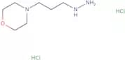 4-(3-Hydrazinylpropyl)morpholine dihydrochloride
