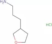 3-(Oxolan-3-yl)propan-1-amine hydrochloride