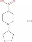 1-(Thiolan-3-yl)piperidine-4-carboxylic acid hydrochloride