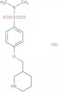 N,N-Dimethyl-4-(piperidin-3-ylmethoxy)benzenesulfonamide hydrochloride