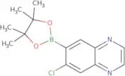6-Chloro-7-(4,4,5,5-tetramethyl-1,3,2-dioxaborolan-2-yl)quinoxaline