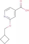 2-(Cyclobutylmethoxy)isonicotinic acid