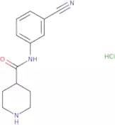 N-(3-Cyanophenyl)piperidine-4-carboxamide hydrochloride