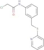 2-Chloro-N-{3-[(pyridin-2-ylsulfanyl)methyl]phenyl}acetamide