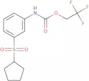 2,2,2-Trifluoroethyl N-[3-(cyclopentanesulfonyl)phenyl]carbamate